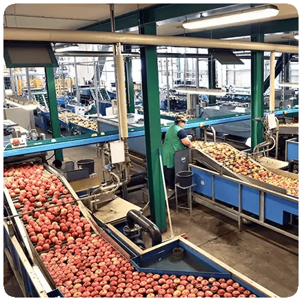 FoodPlantwebp