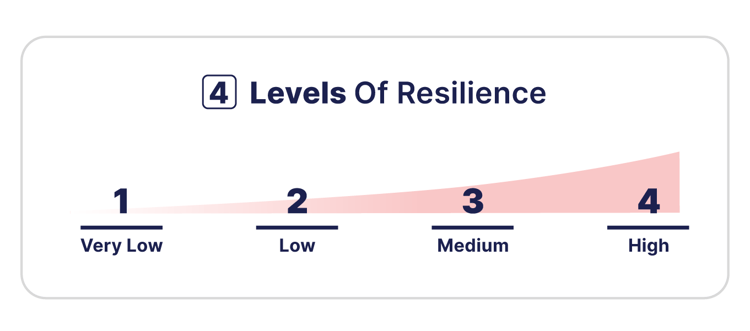 Levels of Resilience