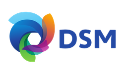 DSM