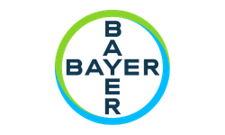 Bayer