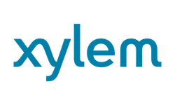 Xylem