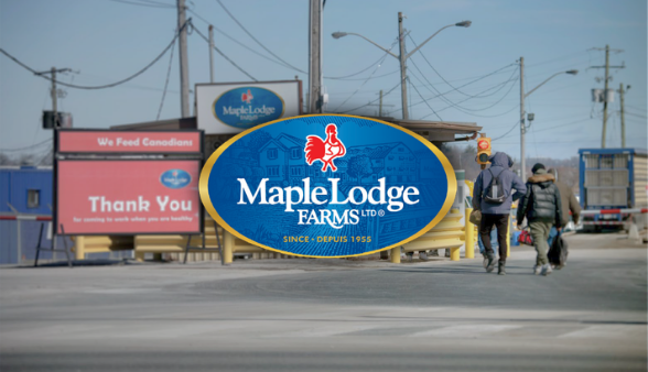 Maple Lodge Farms: Elevating Efficiency with Automated Visitor Management